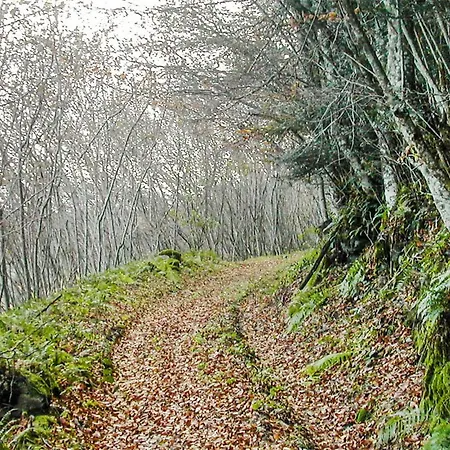 Vakantiehuis Rural Le Couvent Saint-Pal-de-Senouire
