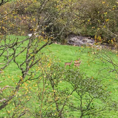 Rural Le Couvent Holiday home Riom-es-Montagnes