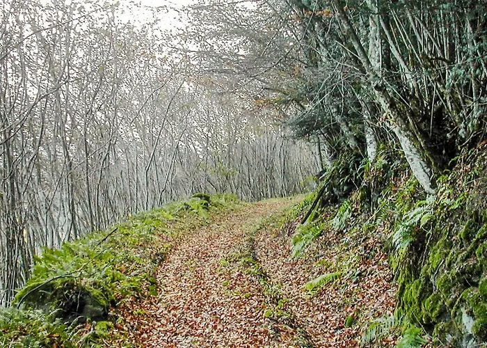 Hébergement de vacances Rural Le Couvent Saint-Pal-de-Senouire